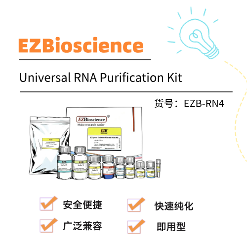  EZBioscience试剂盒Universal RNA Purification Kit