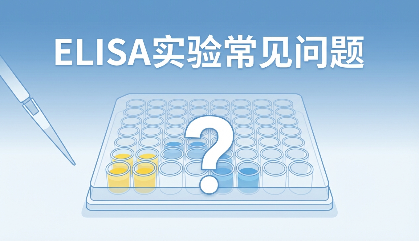 ELISA实验常见问题