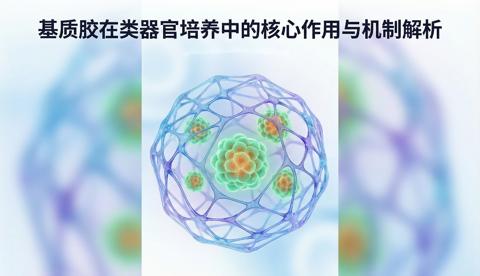 基质胶在类器官培养中的核心作用与机制解析