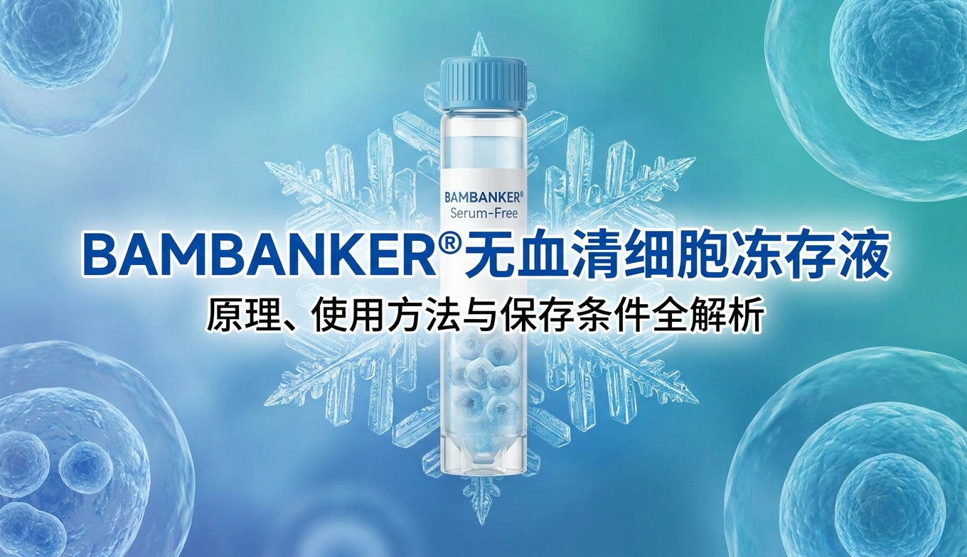 BAMBANKER® 无血清细胞冻存液：原理、使用方法与保存条件全解析