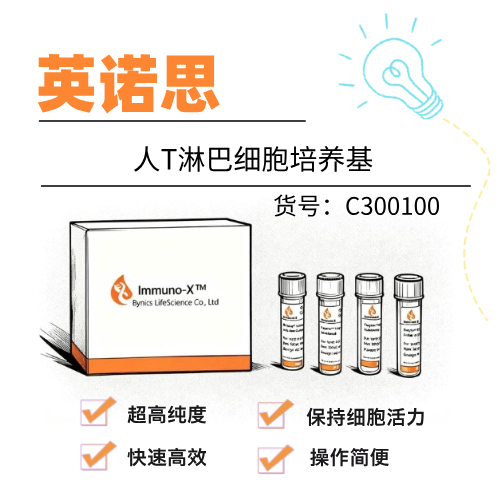  英诺思Eynos人T淋巴细胞培养基