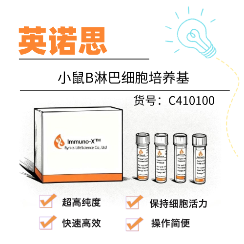  英诺思Eynos小鼠B淋巴细胞培养基