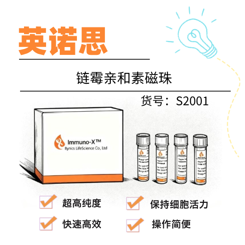  英诺思Eynos链霉亲和素磁珠
