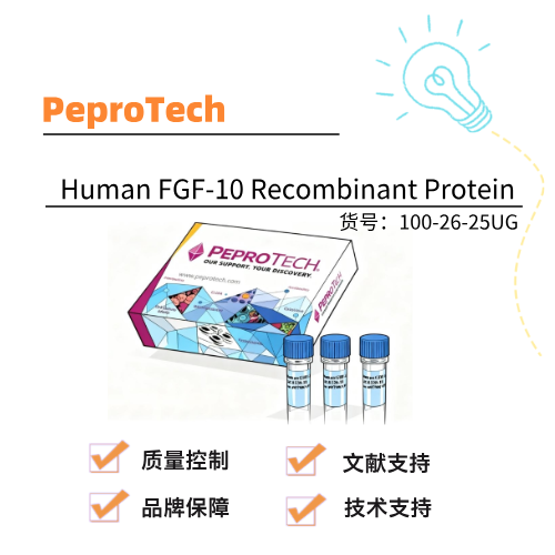  Peprotech派普泰克 Human FGF-10 Recombinant Protein
