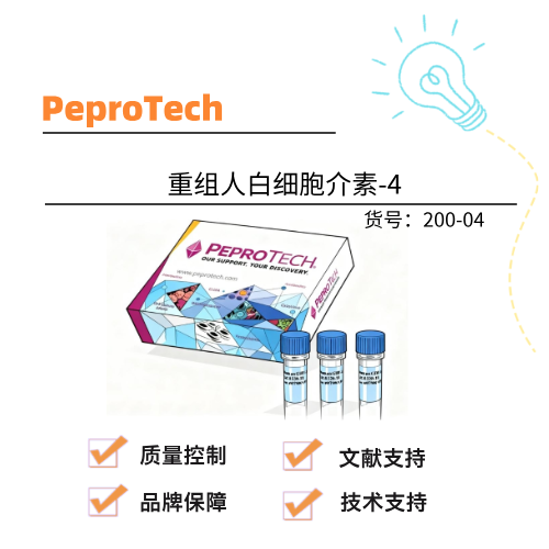  Peprotech派普泰克 重组人白细胞介素-4