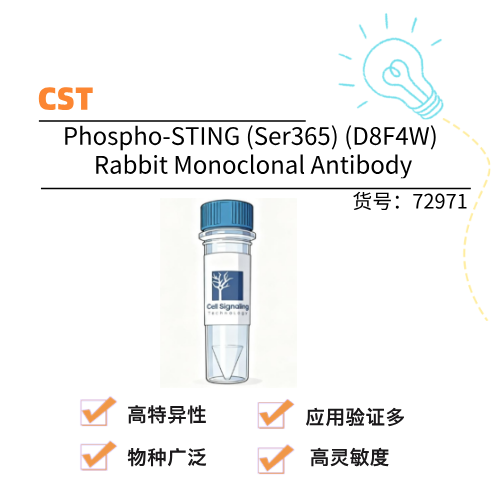  CST Phospho-STING (Ser365) (D8F4W) Rabbit Monoclonal Antibody