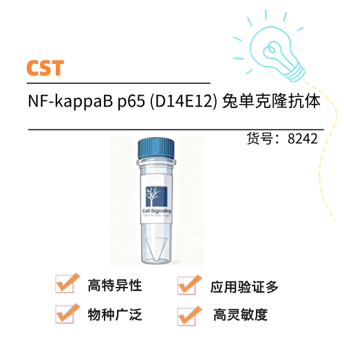  CST NF-kappaB p65 (D14E12) 兔单克隆抗体