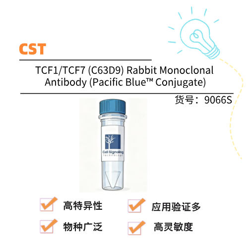  CST TCF1/TCF7 (C63D9) Rabbit Monoclonal Antibody (Pacific Blue™ Conjugate)