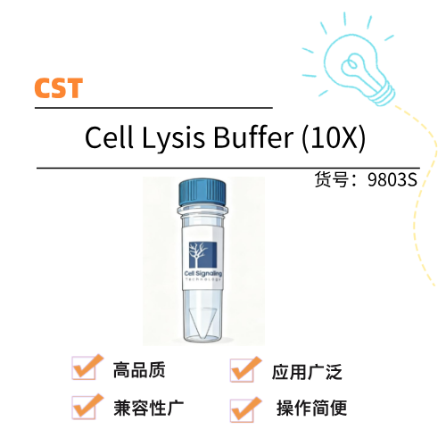  CST Cell Lysis Buffer (10X)