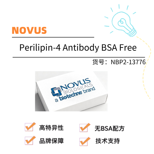  Novus Perilipin-4 Antibody BSA Free