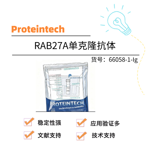  Prteintech武汉三鹰 RAB27A单克隆抗体