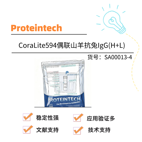  Proteintech武汉三鹰 CoraLite594偶联山羊抗兔IgG(H+L)