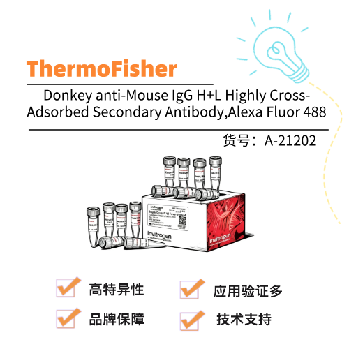  ThermoFisher赛默飞 Donkey anti-Mouse IgG H+L Highly Cross-Adsorbed Secondary Antibody,Alexa Fluor 488