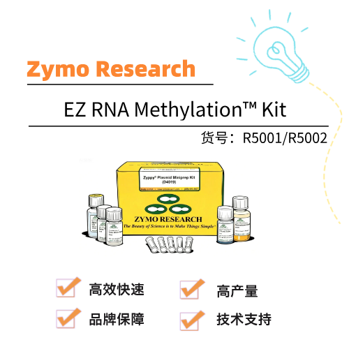 Zymo EZ RNA Methylation™ Kit