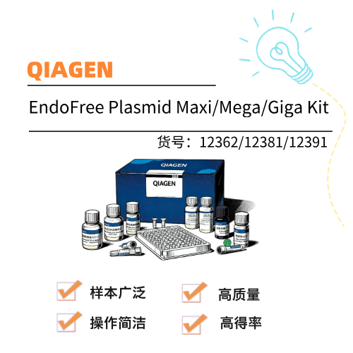  QIAGEN凯杰 EndoFree Plasmid Maxi/Mega/Giga Kit