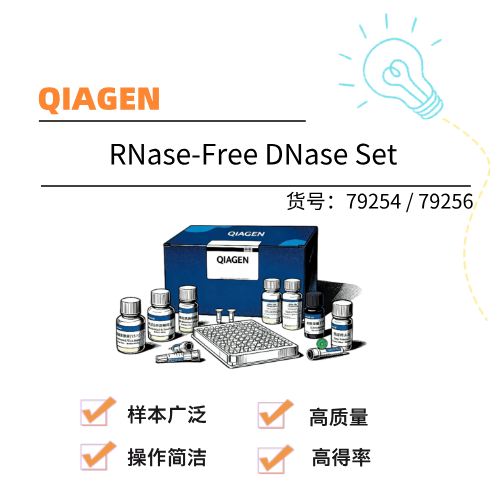  QIAGEN凯杰 RNase-Free DNase Set