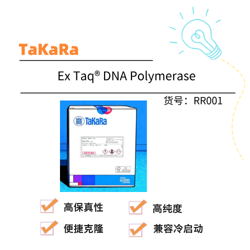  Takara Ex Taq® DNA Polymerase
