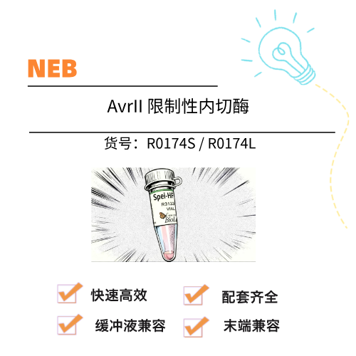  NEB AvrII 限制性内切酶