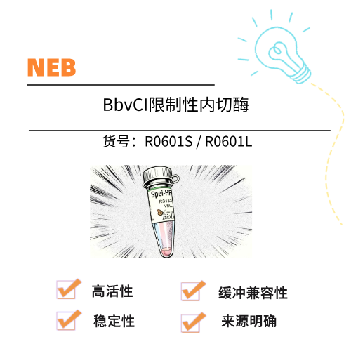  NEB BbvCI限制性内切酶
