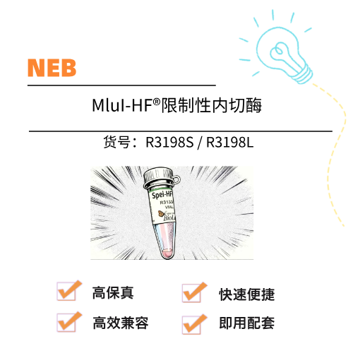  NEB MluI-HF®限制性内切酶