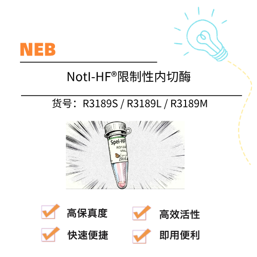  NEB NotI-HF®限制性内切酶