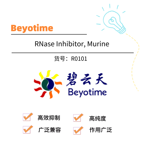  Beyotime碧云天 RNase Inhibitor, Murine