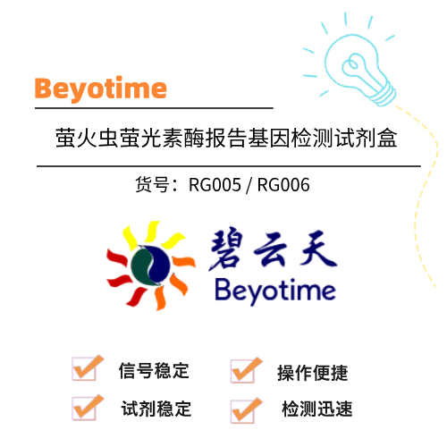  Beyotime碧云天 萤火虫萤光素酶报告基因检测试剂盒