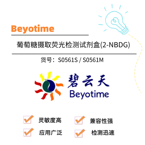  Beyotime碧云天 葡萄糖摄取荧光检测试剂盒(2-NBDG)