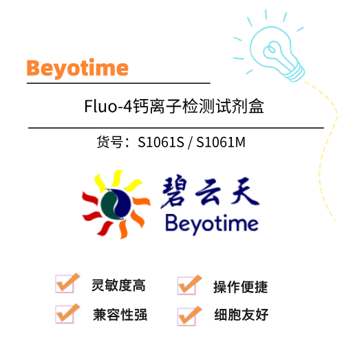  Beyotime碧云天 Fluo-4钙离子检测试剂盒