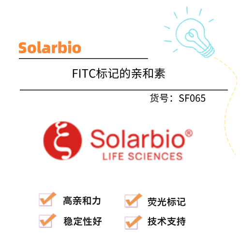 Solarbio索莱宝 FITC标记的亲和素