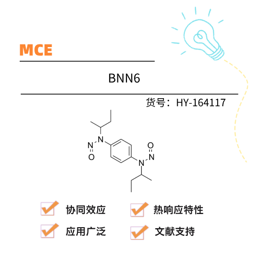  MCE BNN6