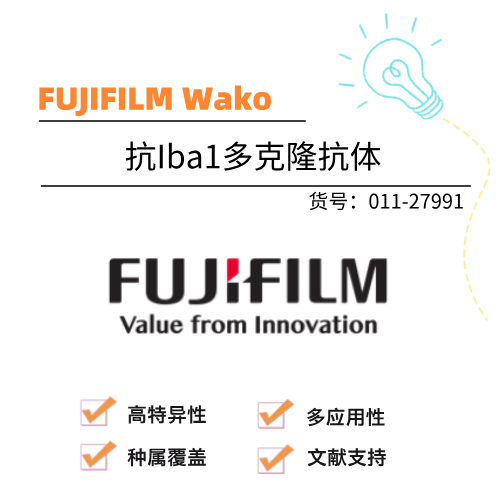  wako富士胶片和光 抗Iba1多克隆抗体