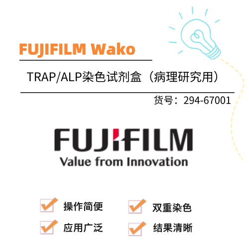  wako TRAP/ALP染色试剂盒（病理研究用）