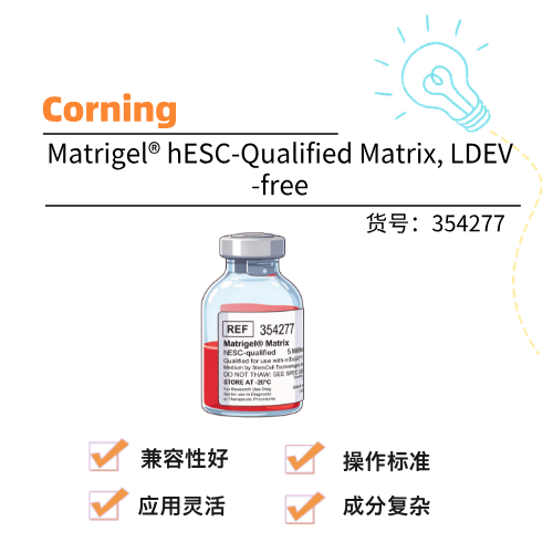  Corning康宁 Matrigel hESC-Qualified Matrix, LDEV-free