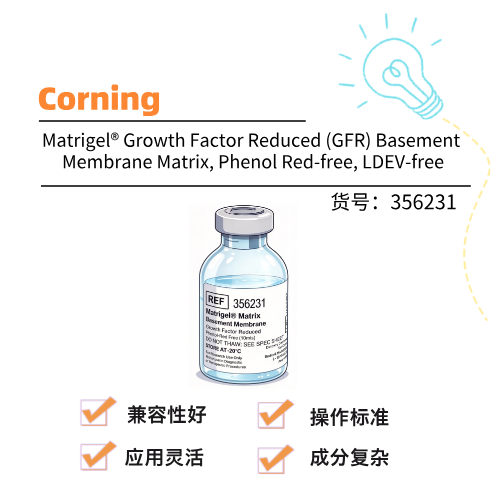  Corning康宁 Matrigel Growth Factor Reduced (GFR) Basement Membrane Matrix, Phenol Red-free, LDEV-free