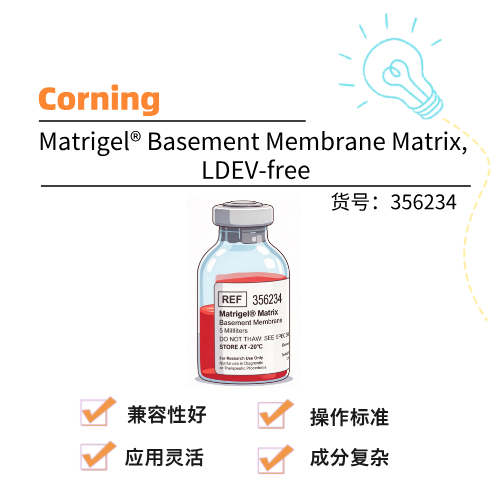  Corning康宁 Matrigel® Basement Membrane Matrix, LDEV-free