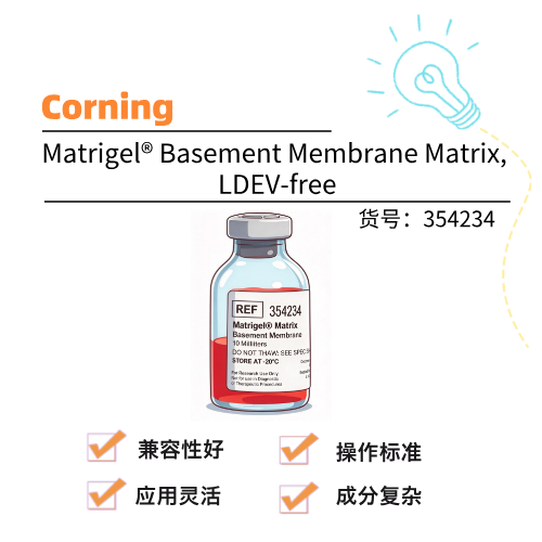  Corning康宁 Matrigel® Basement Membrane Matrix, LDEV-free