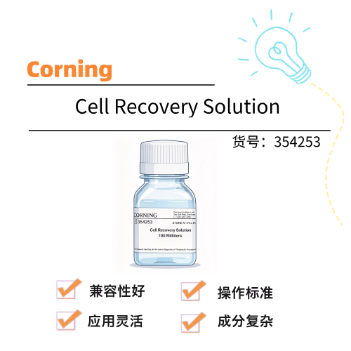 Corning康宁 Cell Recovery solution